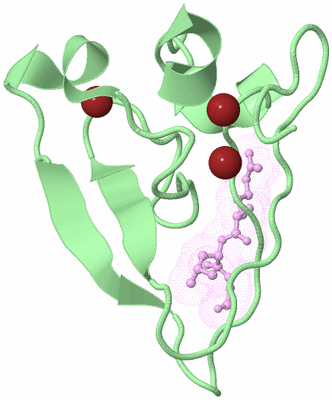 Image Biological Unit 2