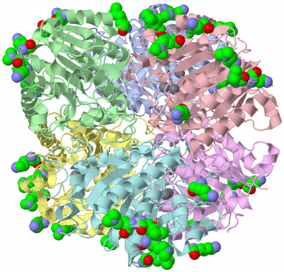 Image Asym./Biol. Unit