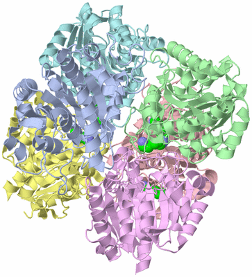 Image Asym./Biol. Unit