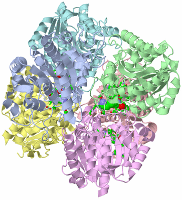 Image Asym./Biol. Unit - sites