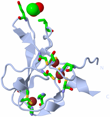 Image Biol. Unit 1 - sites