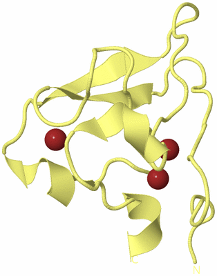 Image Biological Unit 3