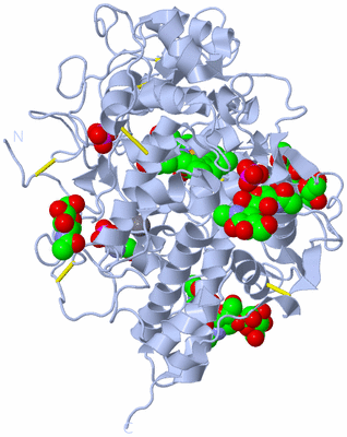 Image Biological Unit 1