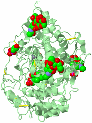 Image Biological Unit 2