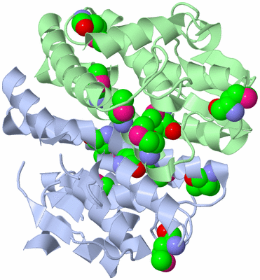 Image Biological Unit 1