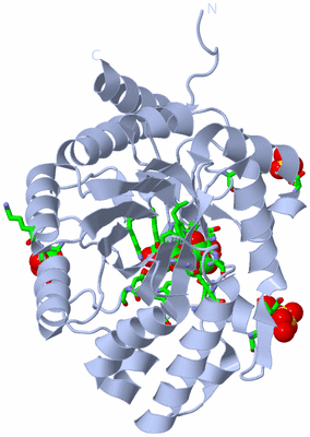 Image Biol. Unit 1 - sites