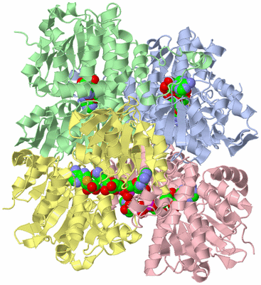 Image Asym./Biol. Unit