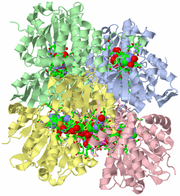 Image Asym./Biol. Unit - sites