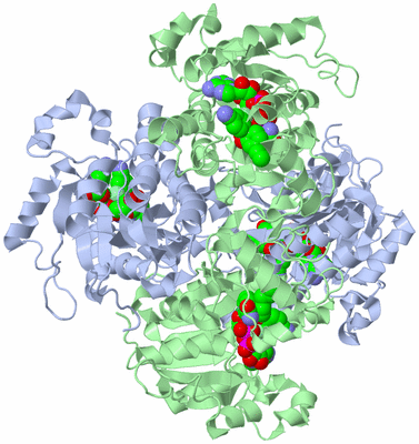 Image Biological Unit 1