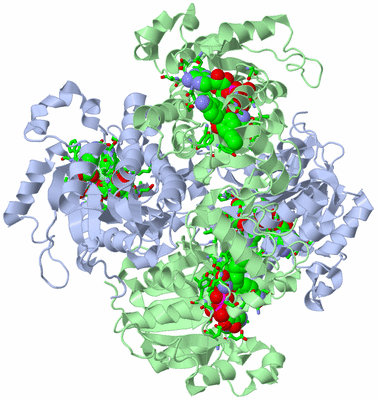 Image Biol. Unit 1 - sites