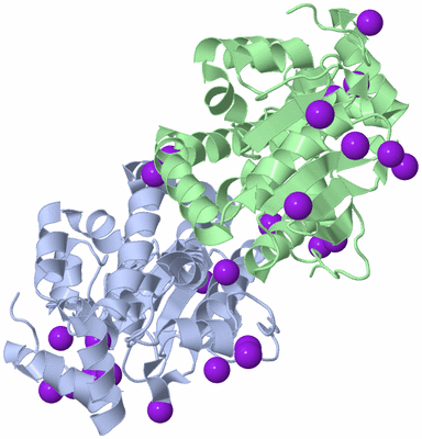 Image Asym./Biol. Unit