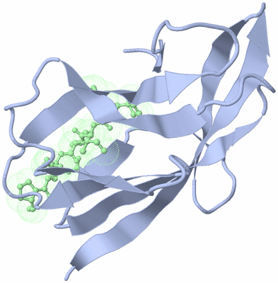 Image Biological Unit 3