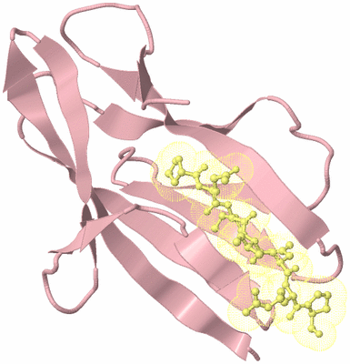 Image Biological Unit 5