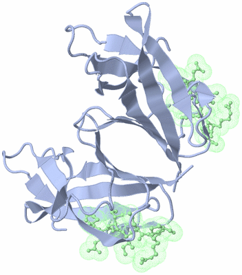 Image Biological Unit 3