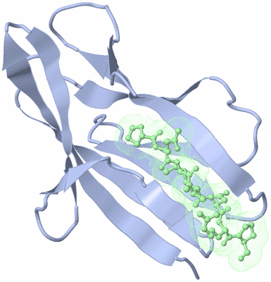 Image Biological Unit 4