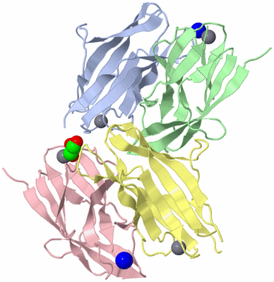 Image Asymmetric Unit