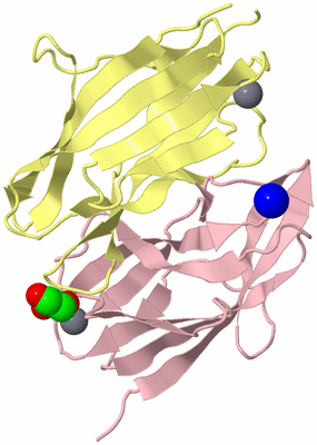 Image Biological Unit 3