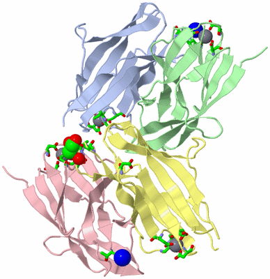 Image Asym. Unit - sites