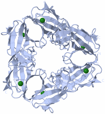 Image Biological Unit 1