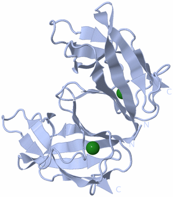 Image Biological Unit 3