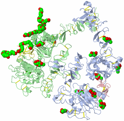 Image Biological Unit 1