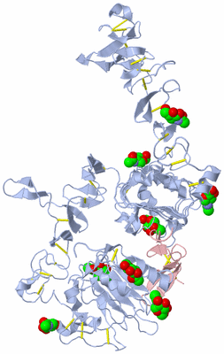 Image Biological Unit 2