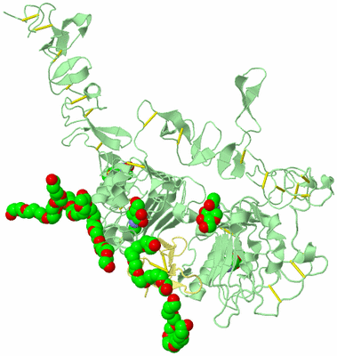 Image Biological Unit 3