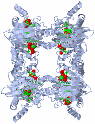 Image Biol. Unit 1 - sites