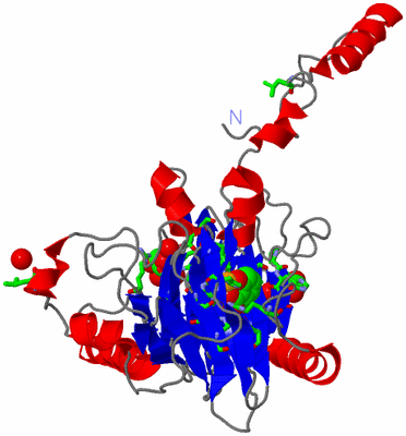 Image Asym. Unit - sites