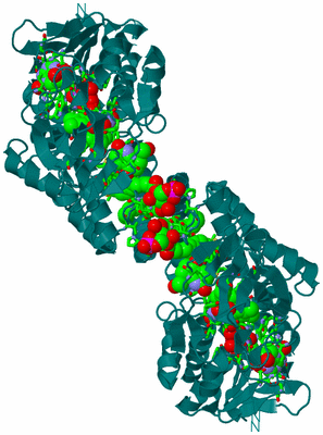 Image Biol. Unit 1 - sites