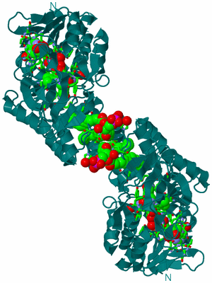 Image Biol. Unit 1 - sites