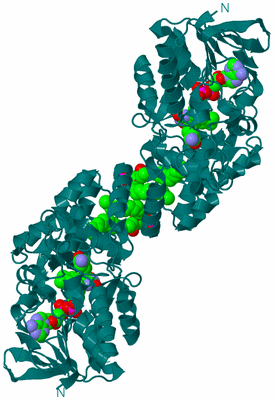 Image Biological Unit 1