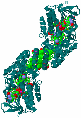 Image Biol. Unit 1 - sites