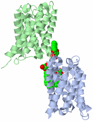 Image Asymmetric Unit