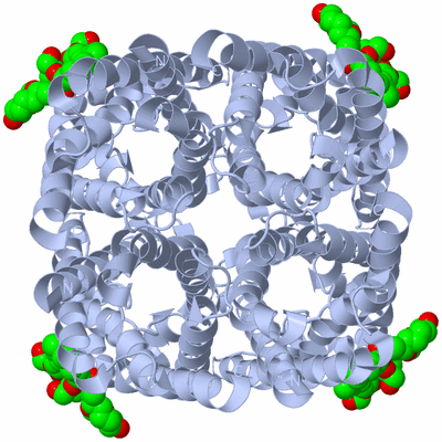 Image Biological Unit 1
