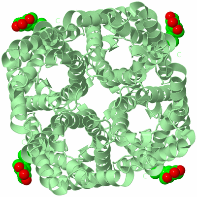Image Biological Unit 2