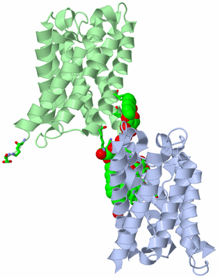 Image Asym. Unit - sites