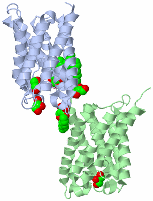 Image Asymmetric Unit