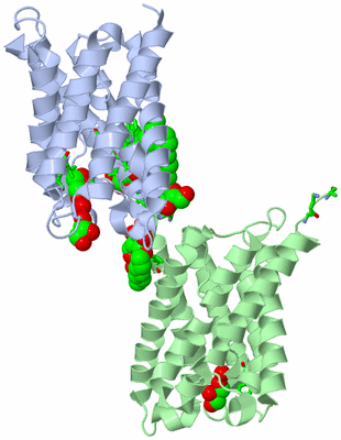Image Asym. Unit - sites