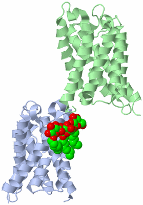 Image Asymmetric Unit