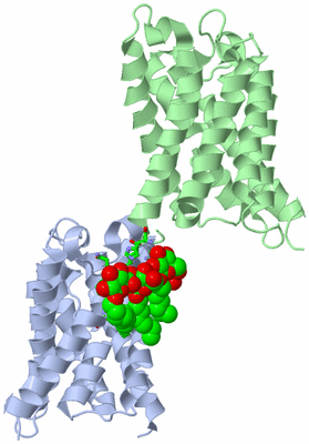 Image Asym. Unit - sites