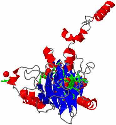 Image Asym. Unit - sites