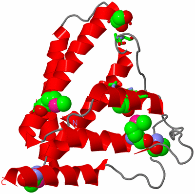 Image Asym. Unit - sites