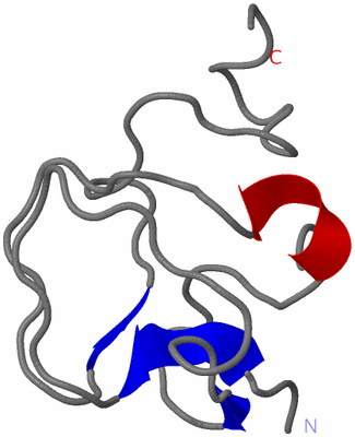 Image NMR Structure - model 1