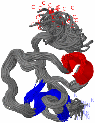 Image NMR Structure - all models
