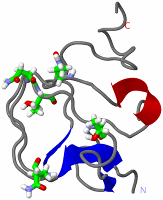 Image NMR Structure - model 1, sites