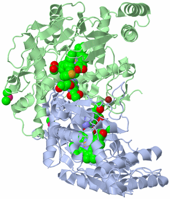 Image Asym./Biol. Unit