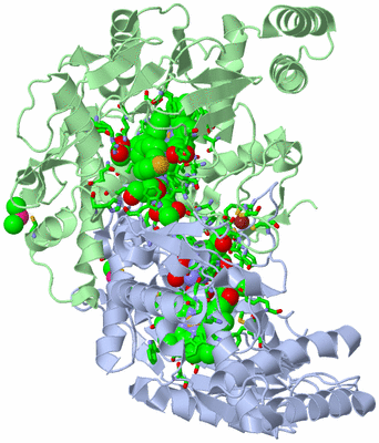 Image Asym./Biol. Unit - sites