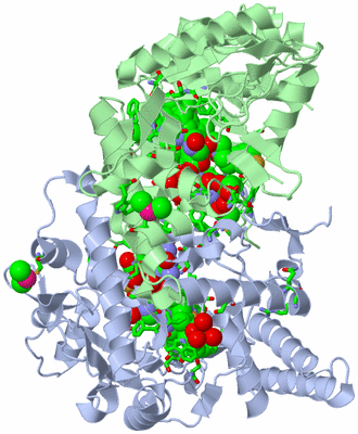 Image Asym./Biol. Unit - sites