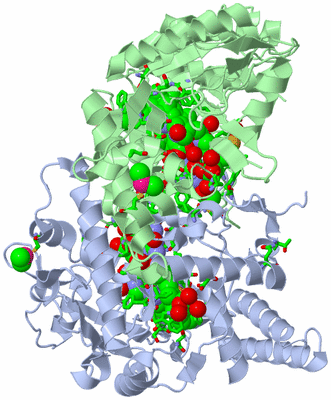 Image Asym./Biol. Unit - sites